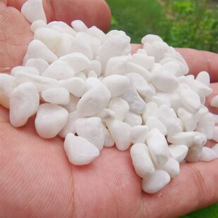 四川白色石子f石头大鹅卵石庭院铺路铺地小白石花园造景景观白石