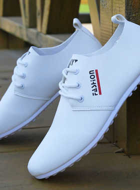 武术鞋中老年训练比赛鞋专用鞋健身鞋男白色太极鞋子运动鞋练功鞋