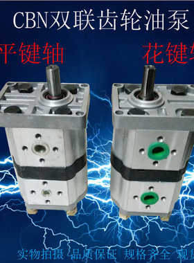 双联齿轮泵CBN-F314/F314-CLP CBN-F310/F306 F312 CBW-F304/F308