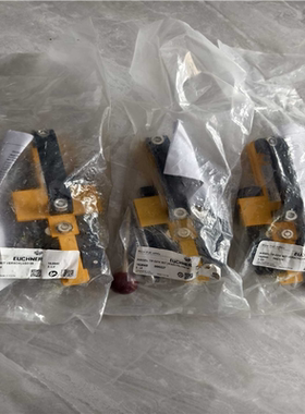 安士能 门锁RIEL TP-GFK MIT VERSCH(崽崽配件）