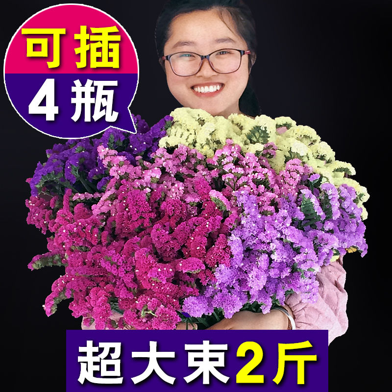 云南勿忘我满天星干花花束真花自然风干客厅摆设家居装饰件论斤卖