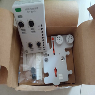 基数电子 罗克韦尔 模块 Bradley Allen