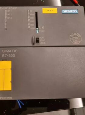 Siemens Simatic S7-300 CPU319F（夫美商行）