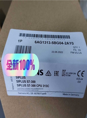 6AG1313-5BG04-2AY0议价