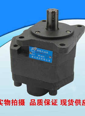 榆次液压农机齿轮油泵GJCB-20 25 31.5 40 50 63-1S90-D27-G25-X