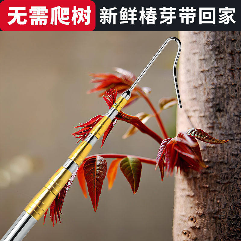 摘香椿神器水果采摘高空枇杷摘果工具樱桃伸缩杆够槐花杆子摘果器