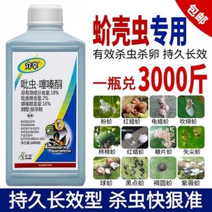 蚧壳虫专用药介壳虫杀虫剂吡虫啉噻嗪酮果树柑橘多肉花卉月季农药