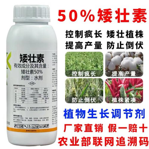 50矮壮素控旺抗倒伏增产小麦玉米棉花蔬菜花卉果树植物生长调节剂