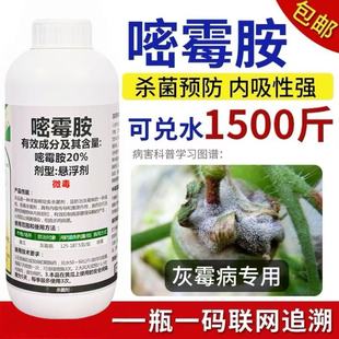 灰霉病专用药嘧霉胺杀菌剂黄瓜番茄草莓葡萄果树蔬菜灰霉农药