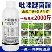吡唑醚菌酯杀菌剂白粉病炭疽病叶斑病霜霉病锈病果树花卉蔬菜农药