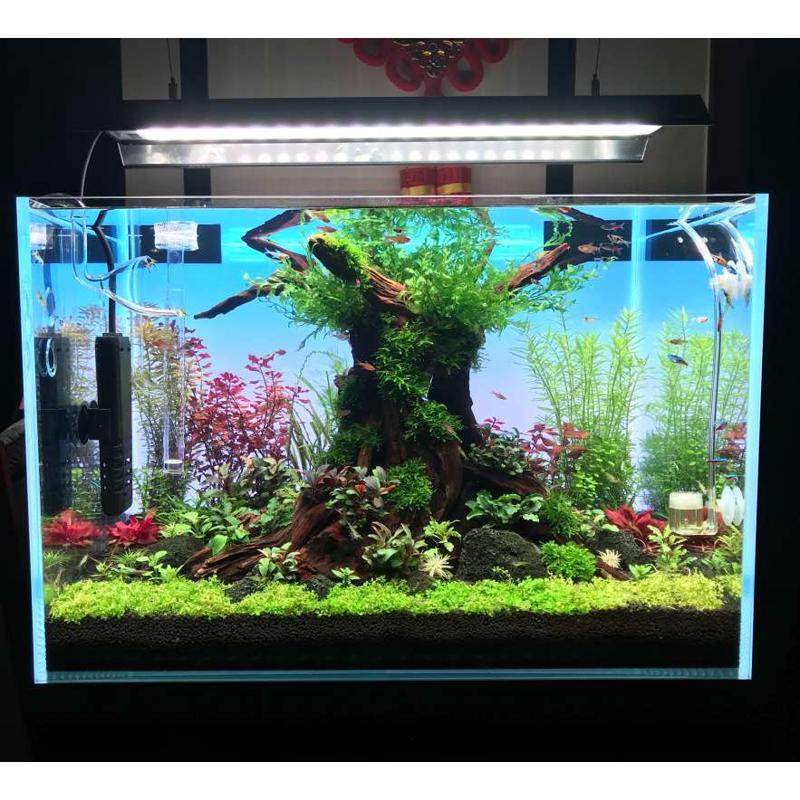 答答新款高亮rgbw背景灯鱼缸背景灯板草缸手机控制定时LED发光板,宠物/宠物食品及用品,造景/装饰,淘宝优惠券,粉丝福利购,淘宝优惠卷