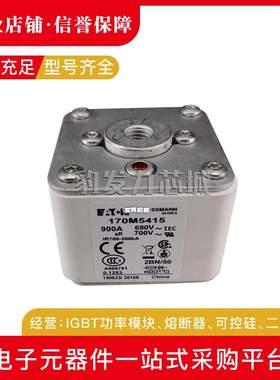 170M5593 170M5594 170M5595 170M5596 170M5597 170M5598熔断器