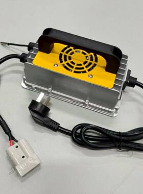 充电器12v24v20a堆高车升降机叉车洗地机充电机24V15A锂电铅酸