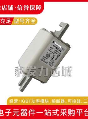 170M4158/4159/4160/4161/4162/4163/4164/65/66/67/68/69熔断器