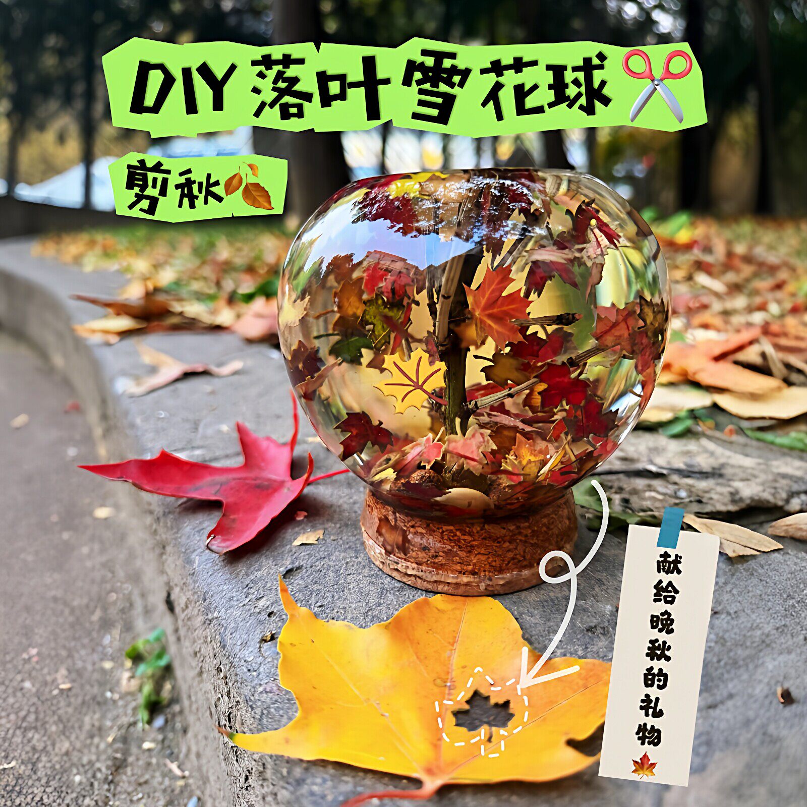 【秋日限定】枫叶压花器DIY落叶雪花球落叶收集圆形高硼硅玻璃瓶
