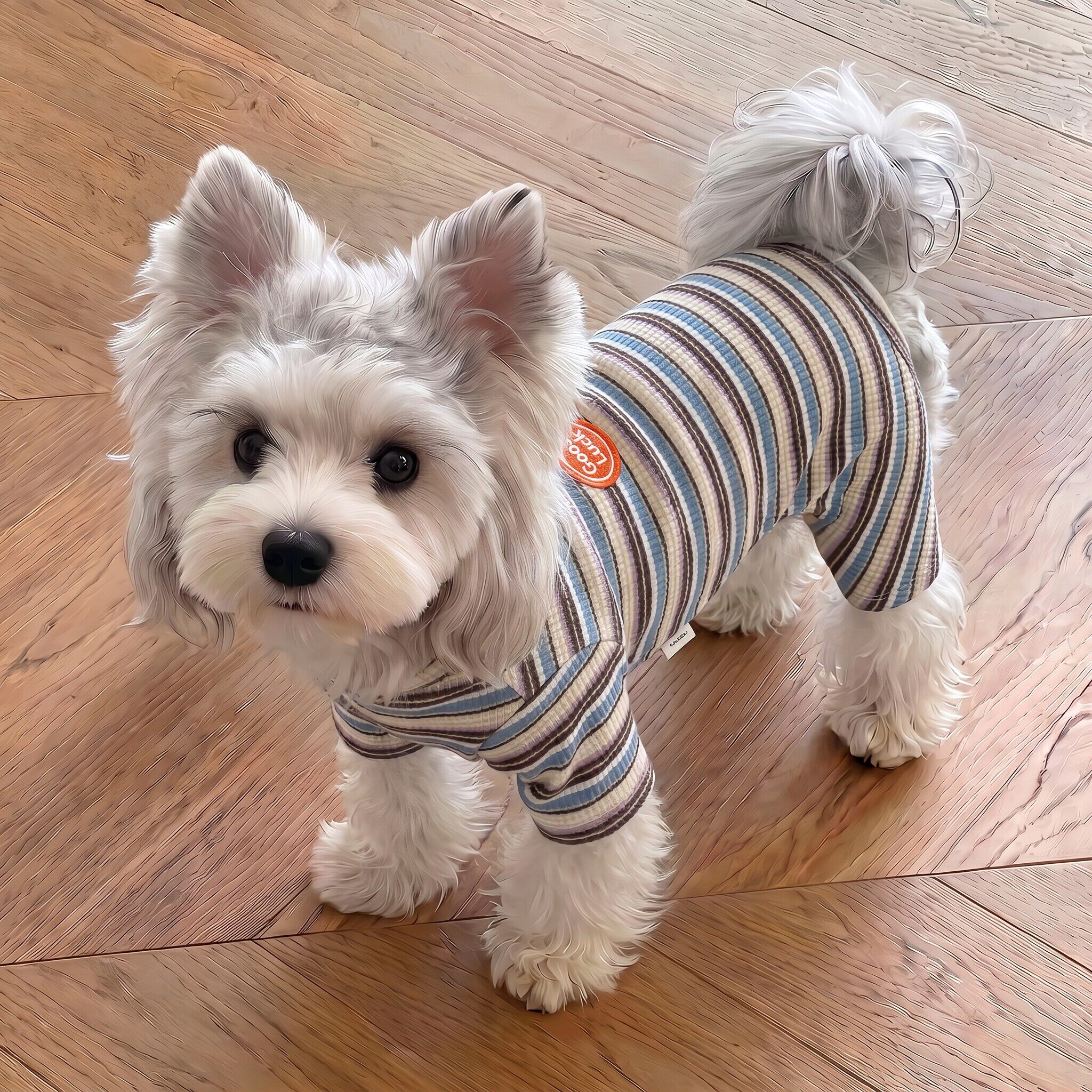 狗狗衣服纯绵小型犬比熊雪纳瑞四脚衣秋冬季猫咪家居服防掉毛睡衣