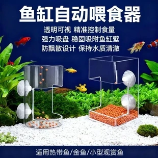 小鱼喂食管】喂食鱼缸场景悬浮投喂设计透明固定【防飘散亚克力