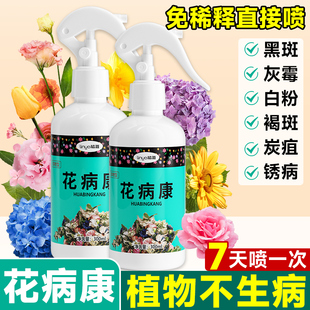 速发花病康剂剂花卉菌植物菌立清杀绿喷微生物菌剂活性剂喷雾多肉