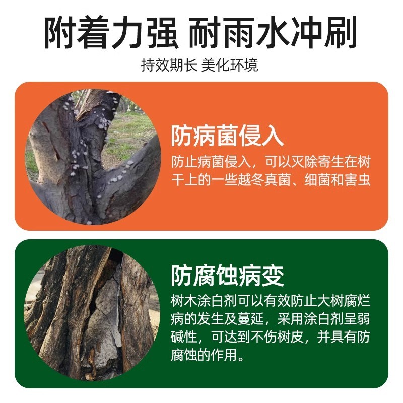 速发盆景涂白剂树木果树树干防虫大树防冻刷白冬季天防寒霜冻园林