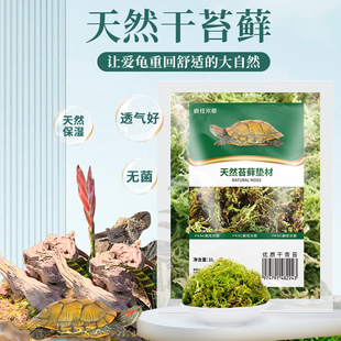 速发乌冬椰龟龟眠用品干苔藓垫料爬宠冬天的窝草土乌龟冬眠箱盒子