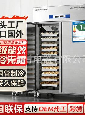一级能效风冷无霜插盘式冰箱商用柜商用全钢全铜急冻包子饺子冰箱