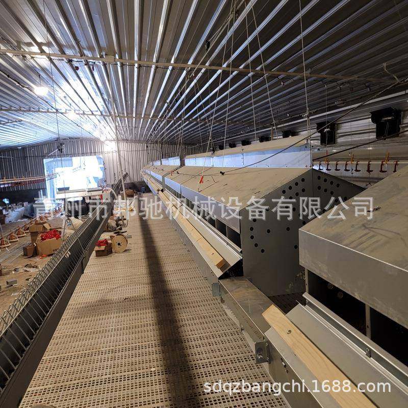 产蛋箱蛋鸡养殖场人工养鸡设备镀锌板产蛋箱鸡窝蛋箱集蛋设备,畜牧/养殖物资,特种养殖设备,淘宝优惠券,粉丝福利购,淘宝优惠卷