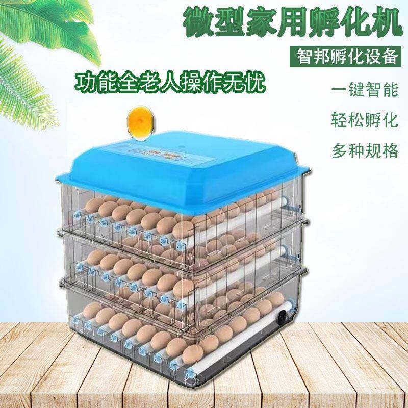 全自动家用微型孵化机小鸡孵蛋器新款滚轴鸡鸭鹅鸽鹌鹑鸟孵化箱,畜牧/养殖物资,特种养殖设备,淘宝优惠券,粉丝福利购,淘宝优惠卷