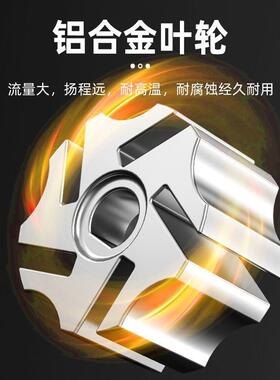 正反122机V24V20V伏电动ONZ柴油抽油器抽油泵自吸泵抽油柴油泵油