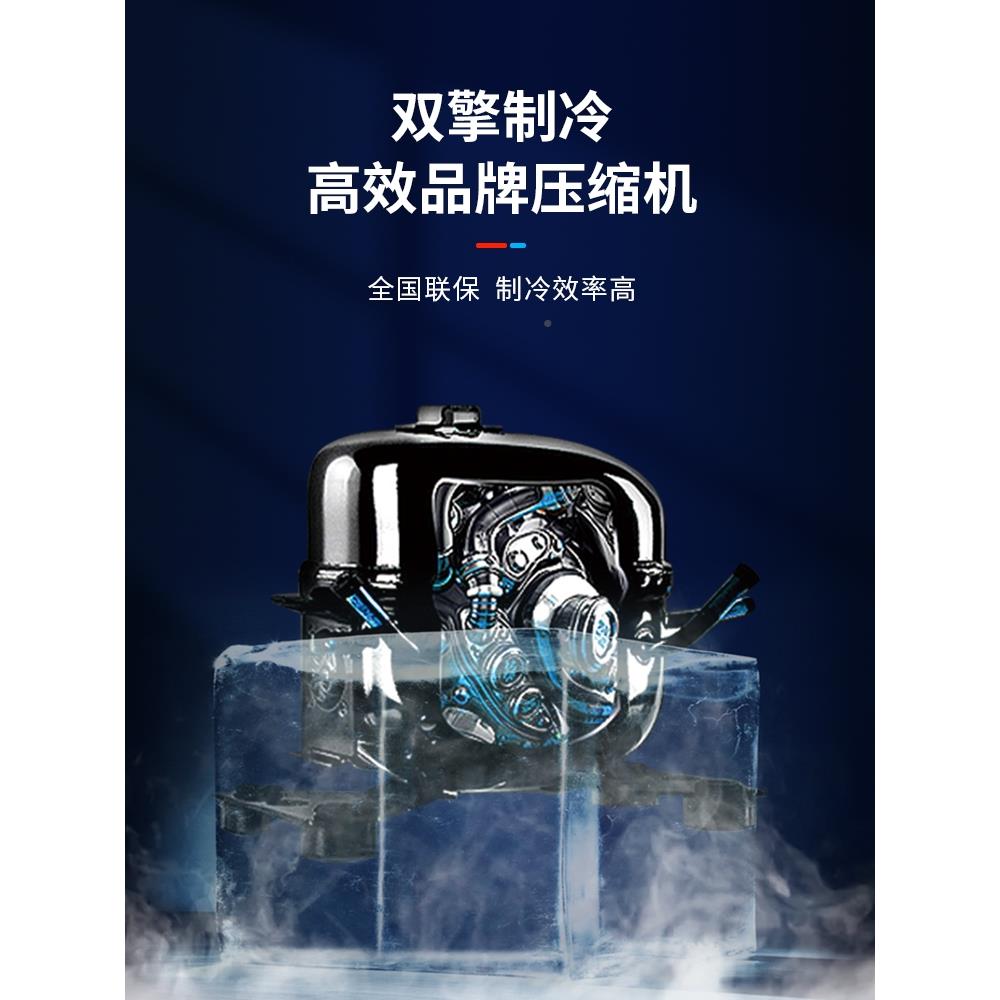 挂冰肉柜商用立式牛羊示冷藏展柜肉熟成柜单双门鲜肉排512酸柜保