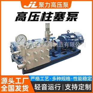 污水处理海水淡化设备 高压柱塞泵 不锈钢增压柱塞高压水泵