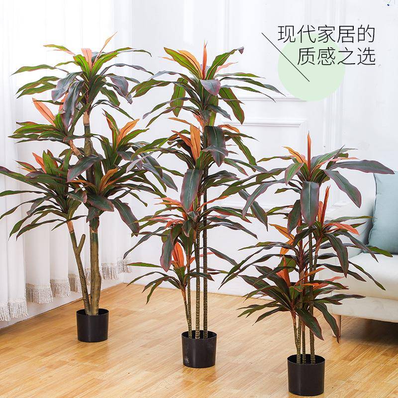造仿真店绿植盆景热带风PBI沙漠龙舌兰室内酒景装植饰落地假物盆