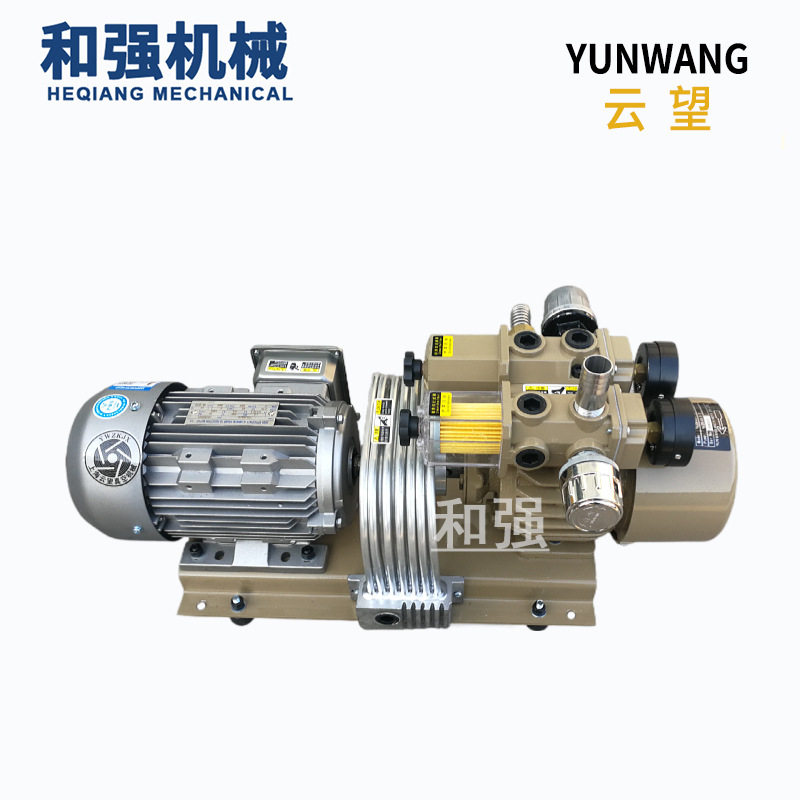 云望WZB40-P-V-03压膜机用泵