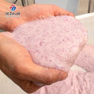 厂家直销型西瓜汁机工厂榨用果柿蔬大胡萝卜西红榨汁机YLB8升容量