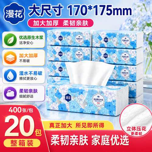 【囤货实惠装】漫花国风山茶花