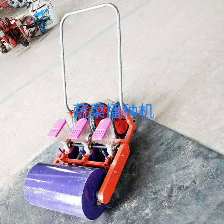 手谷推蔬菜小手推蔬菜颗粒种子精播籽机菜药子材播种机勺式免钻孔