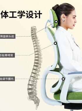办椅XY-EC-00公椅可躺办公室人学体工椅子简约会议室会议久坐职椅