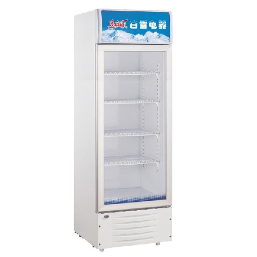 白雪冰柜立式陈列柜展示柜饮料柜啤酒柜冷柜点菜柜