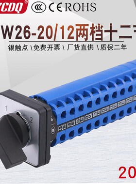 LW26-20 N/12节两档12线双电源切换十二刀双掷信号万能转换开关