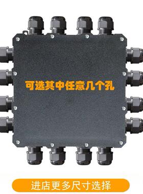 CN904西能CENEN防水接线盒户外PC阻燃塑料外壳带接头端子仪表盒