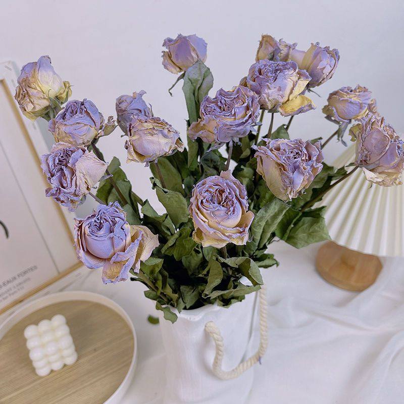 碎冰玫瑰干花真花风干ins风客厅装饰网红拍照diy清新家居插花软装,鲜花速递/花卉仿真/绿植园艺,干花,淘宝优惠券,粉丝福利购,淘宝优惠卷
