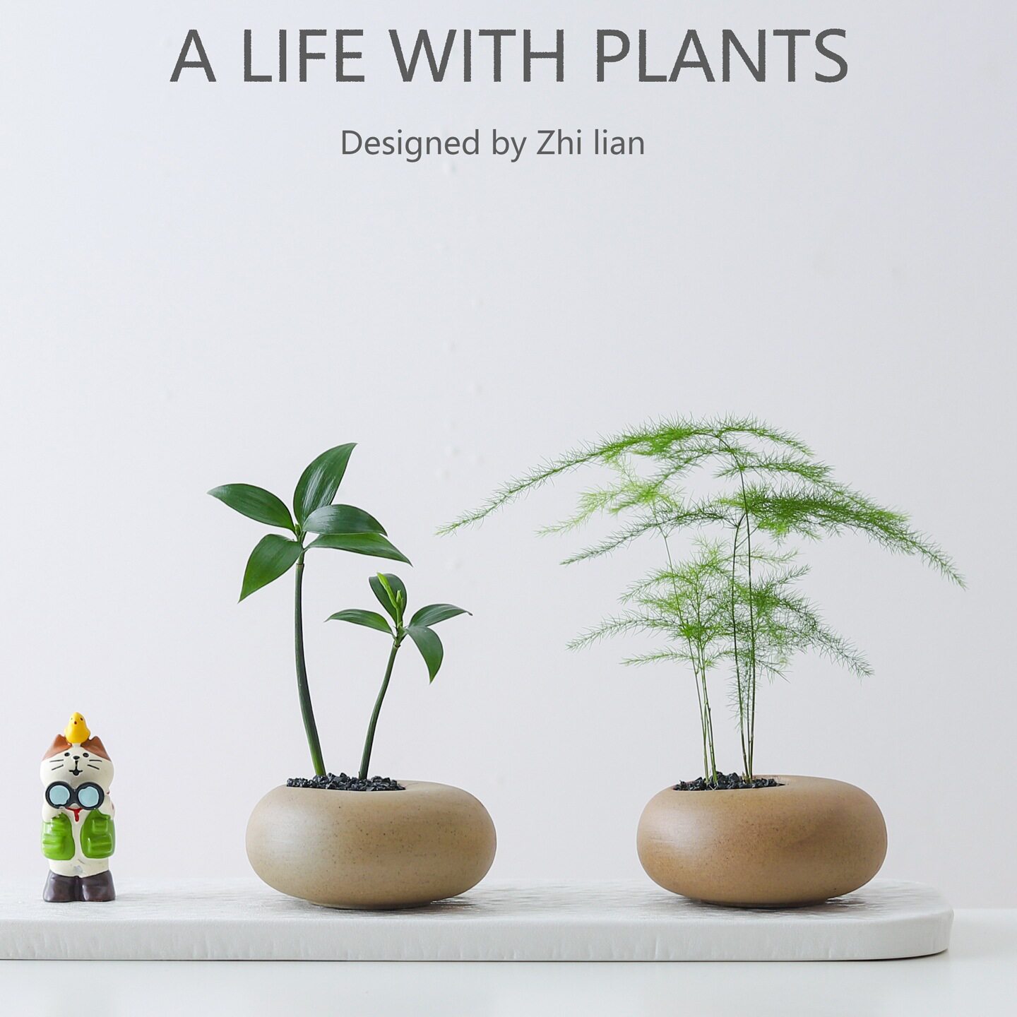 文竹盆栽创意迷你拇指工位绿植物室内客厅桌面办公桌花卉四季常青