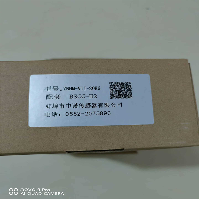 中诺配套传感器仪表BSCC-H2（夫美商行）