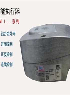 【顺庆】SAM1P-60/1 直接拍【议价】