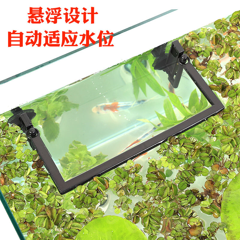 鱼缸浮力防飘散喂食圈浮萍水草隔条阻拦固定圈鱼缸投食圈悬浮设计