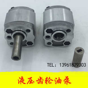 F2.6 F3.2 F2.1F F0.5 F4.8 F0.63 F1.5 CBK微型齿轮泵CBK F1.2