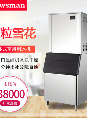 颗粒雪花制冰机AF-1000商用大型实验室超市500公斤
