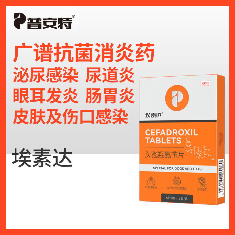 普安特狗狗消炎药宠物猫咪用皮肤炎尿路感染尿道炎泌尿头孢埃素达