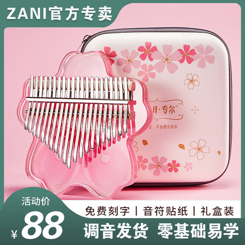 ZANI21音卡林巴拇指琴易学乐器