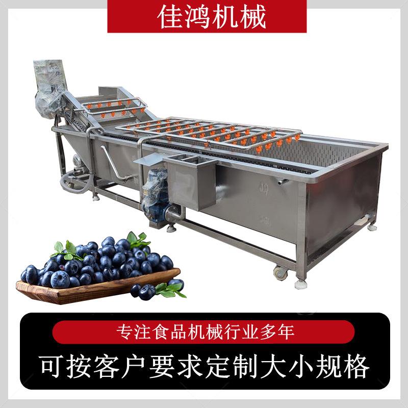 喷淋式瓜果气泡清洗机油菜菠菜清洗机全自动气泡清洗机佳鸿