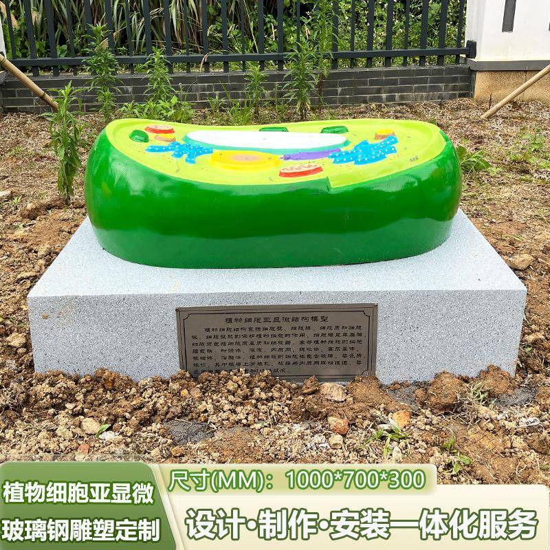 植物细胞亚显微模型生物细胞模型学校教学教具科普玻璃钢雕塑摆件